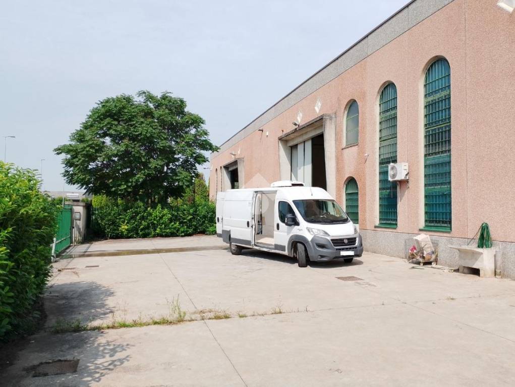 immagine annuncio 6 di 15