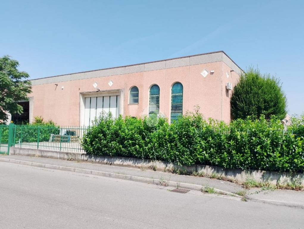 immagine annuncio 8 di 15