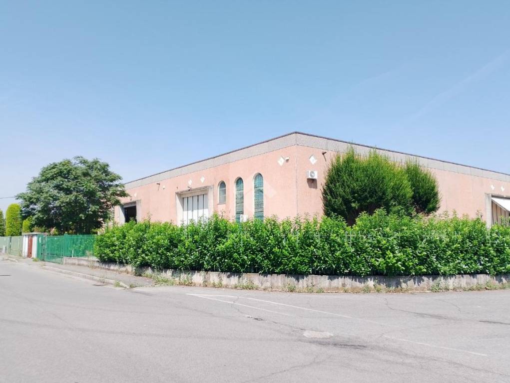 immagine annuncio 9 di 15