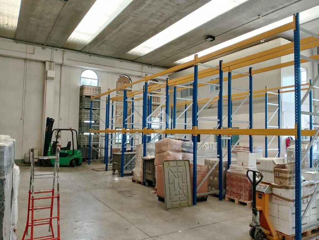 immagine annuncio 11 di 15