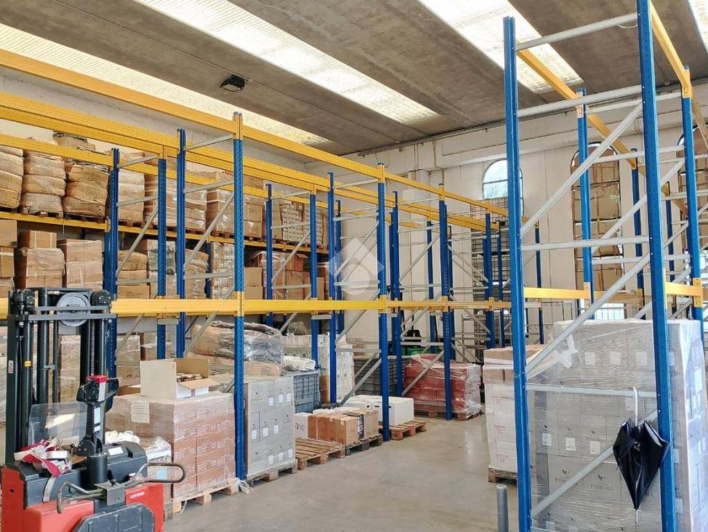 immagine annuncio 12 di 15