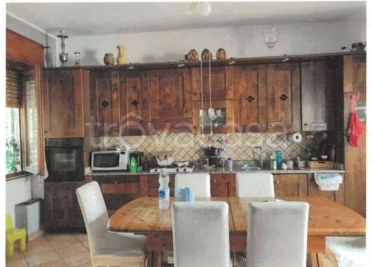 immagine annuncio 5 di 14