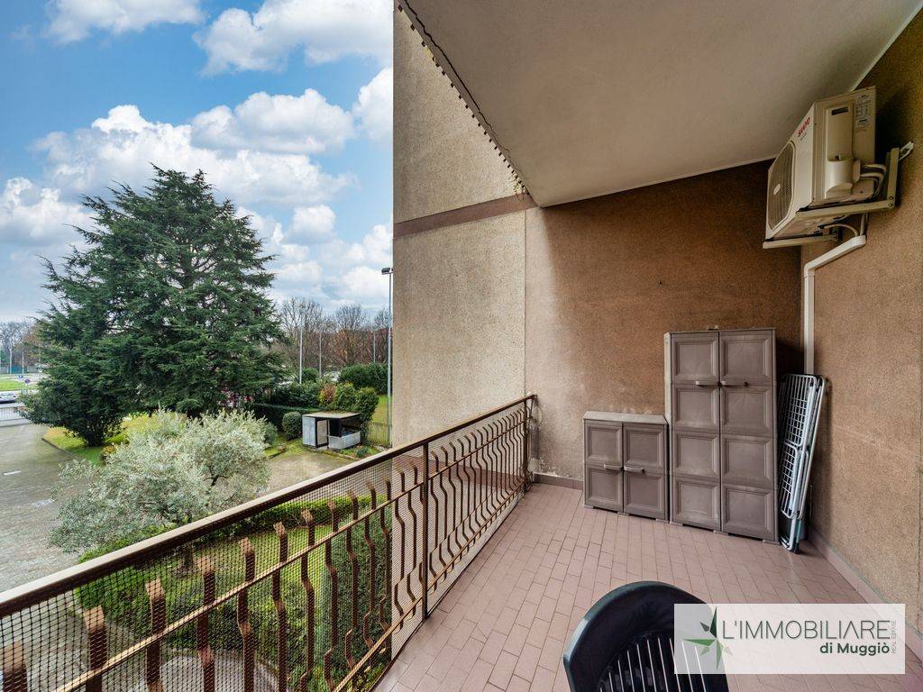 immagine annuncio 3 di 15