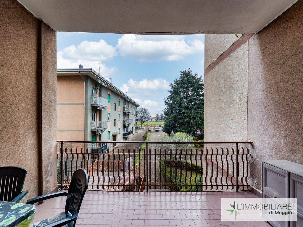 immagine annuncio 5 di 15