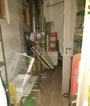 immagine annuncio 7 di 11