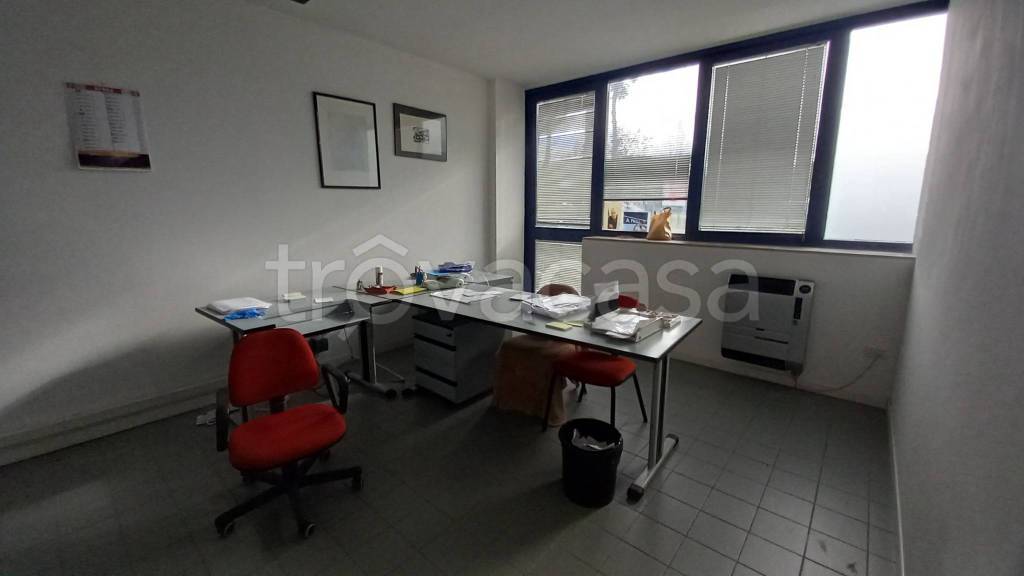 immagine annuncio 5 di 11