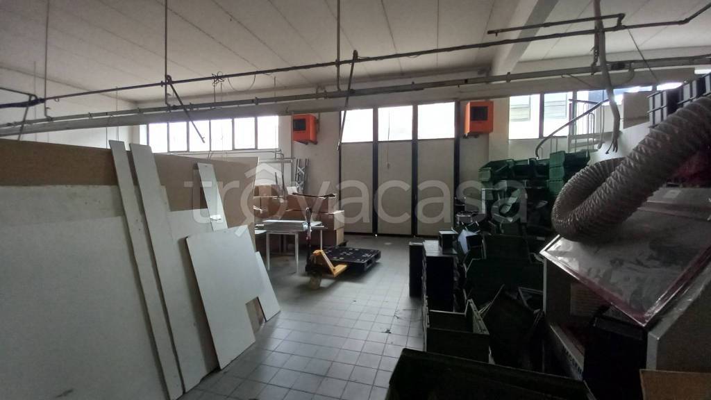 immagine annuncio 9 di 11