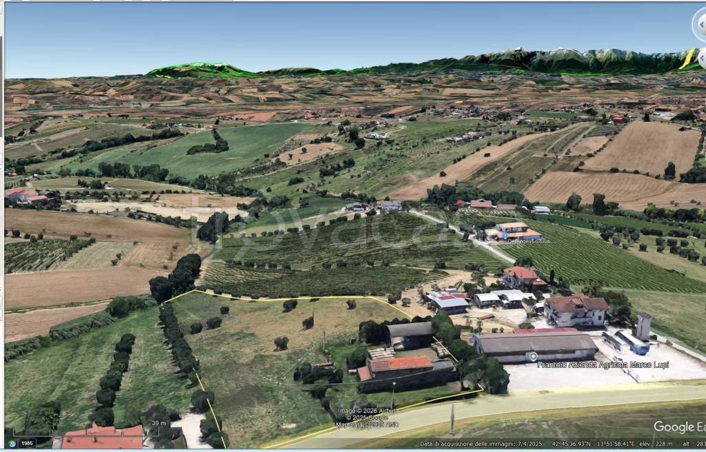 immagine annuncio 5 di 7