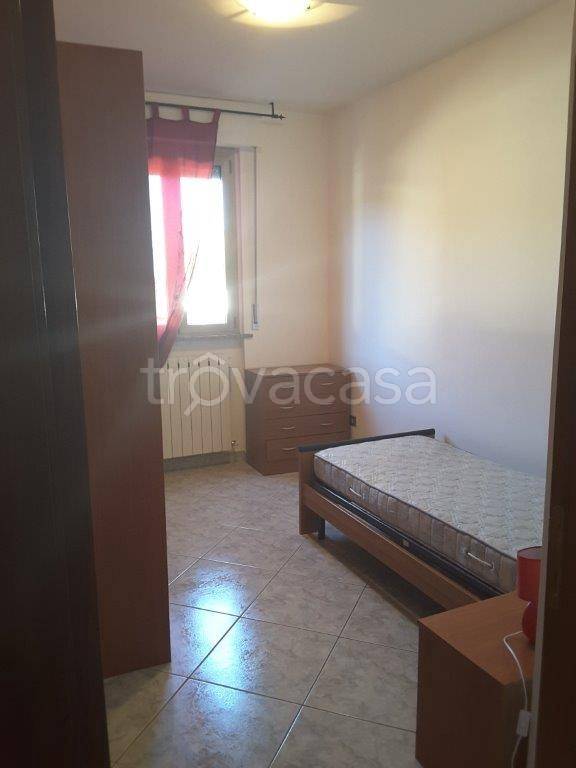 immagine annuncio 7 di 9