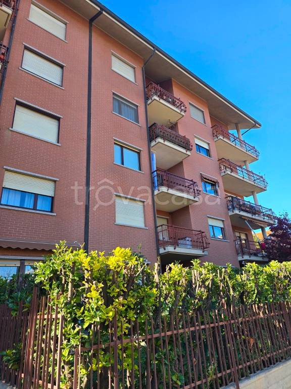 immagine annuncio 4 di 6