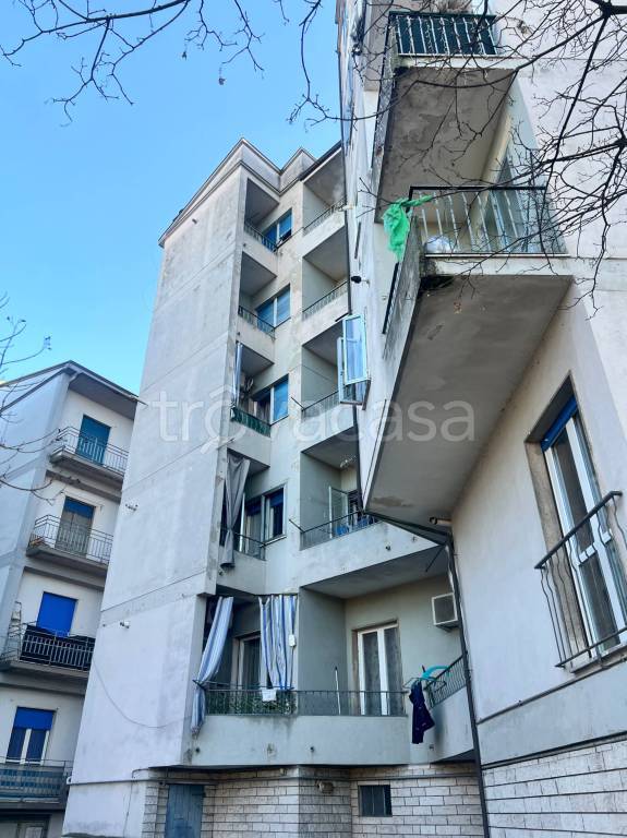 immagine annuncio 13 di 14