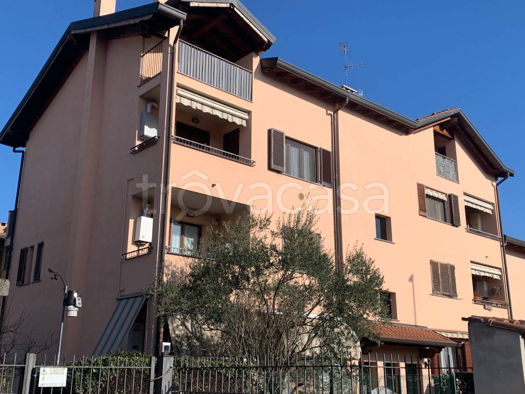 immagine annuncio 2 di 15