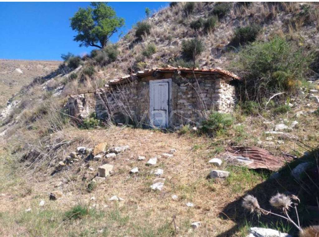 immagine annuncio 3 di 11