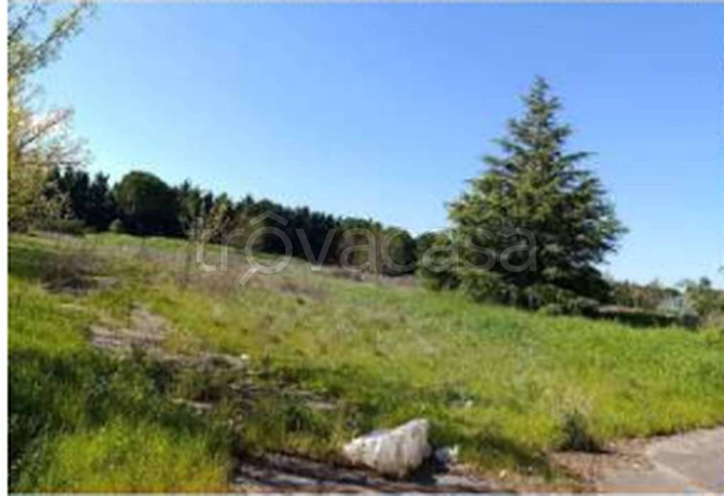 immagine annuncio 3 di 11