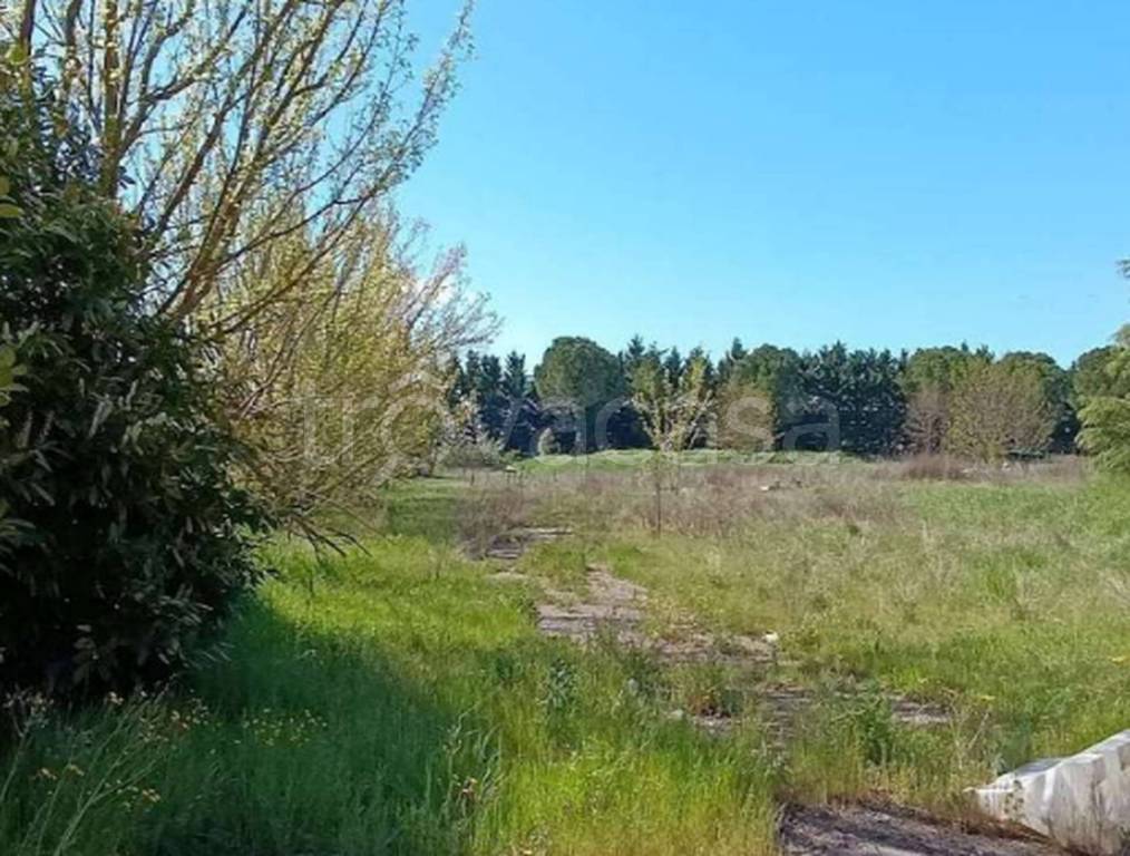 immagine annuncio 5 di 11