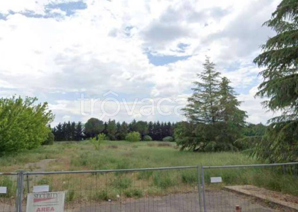 immagine annuncio 6 di 11