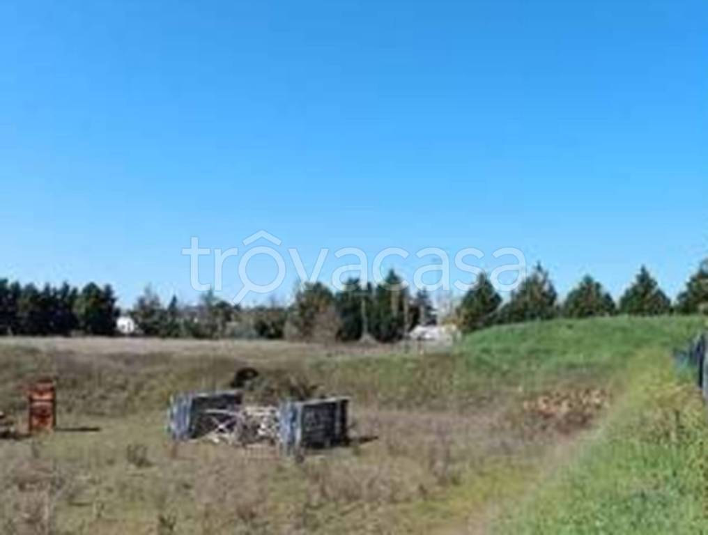 immagine annuncio 8 di 11