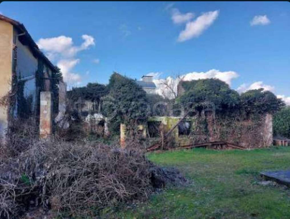 immagine annuncio 3 di 11