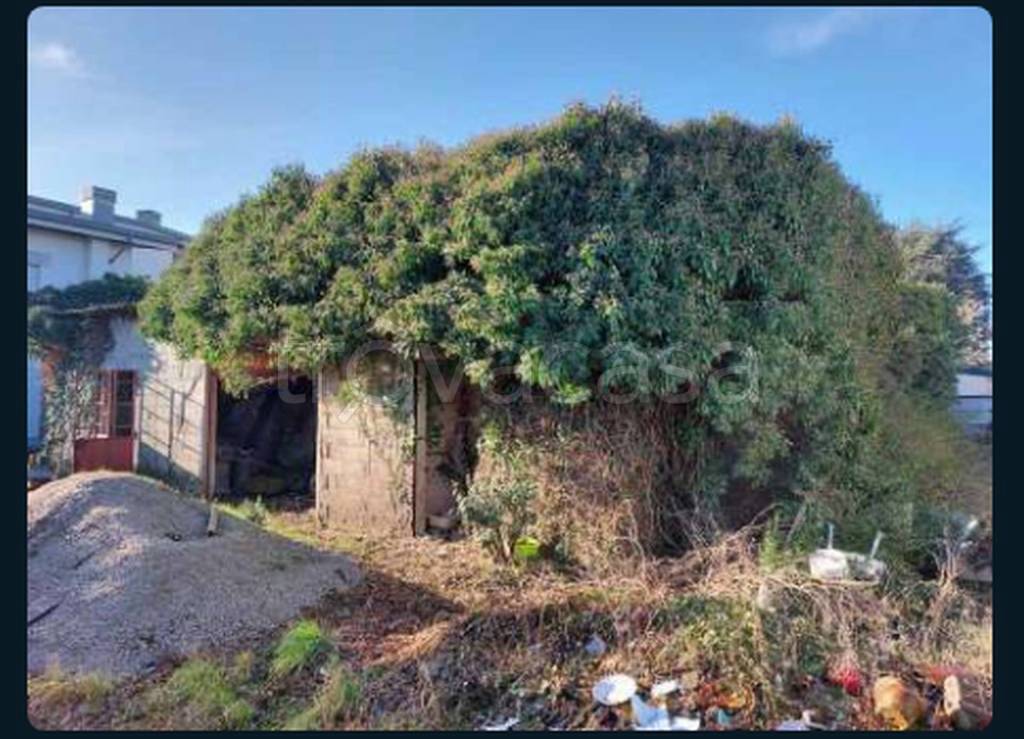 immagine annuncio 4 di 11