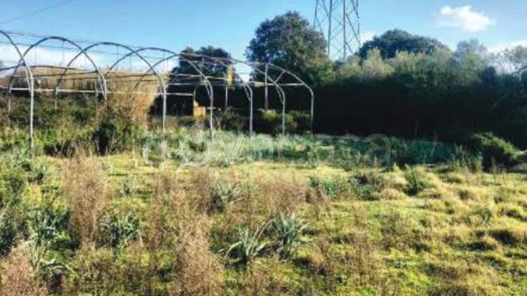 immagine annuncio 9 di 11