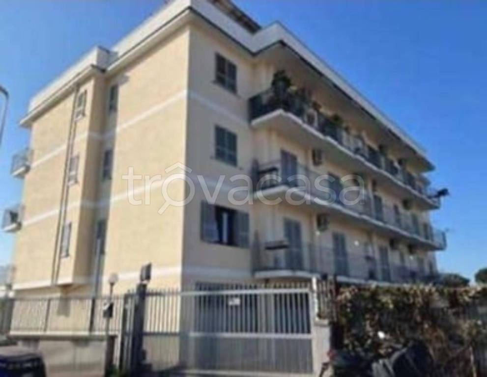 immagine annuncio 6 di 11