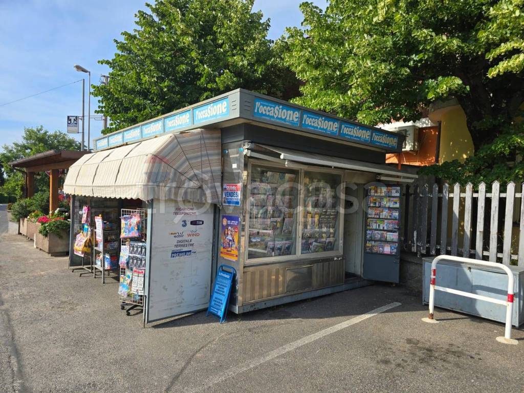 immagine annuncio 5 di 15