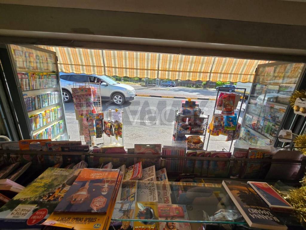 immagine annuncio 10 di 15