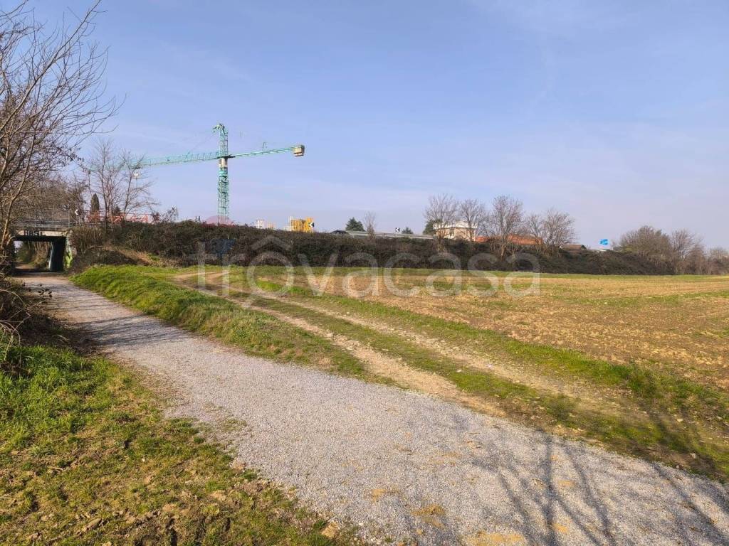 immagine annuncio 11 di 15