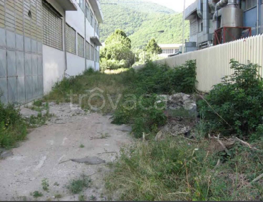 immagine annuncio 3 di 11