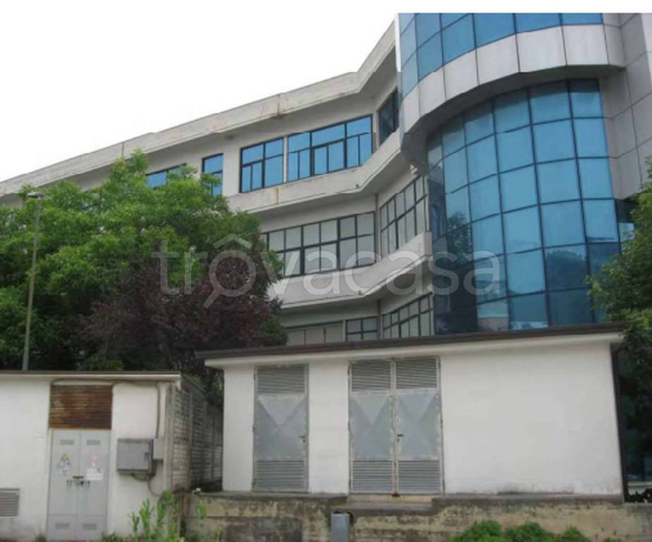 immagine annuncio 8 di 11