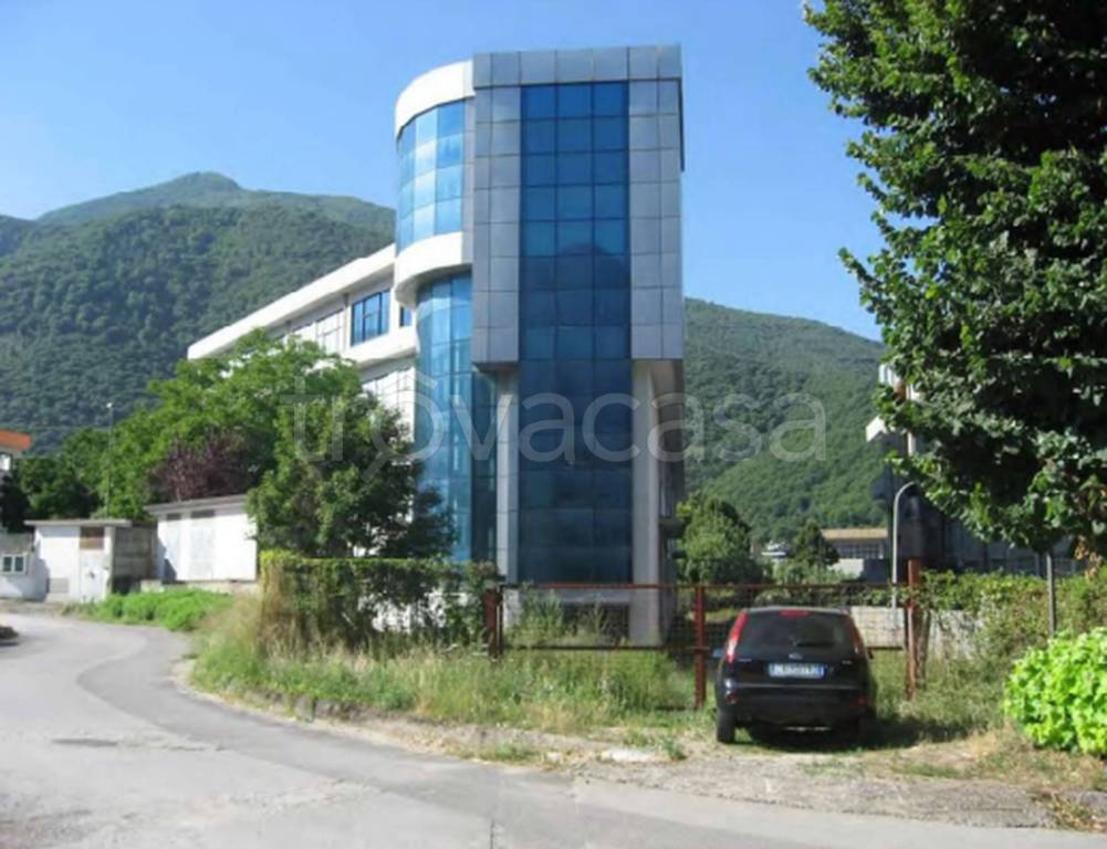 immagine annuncio 10 di 11