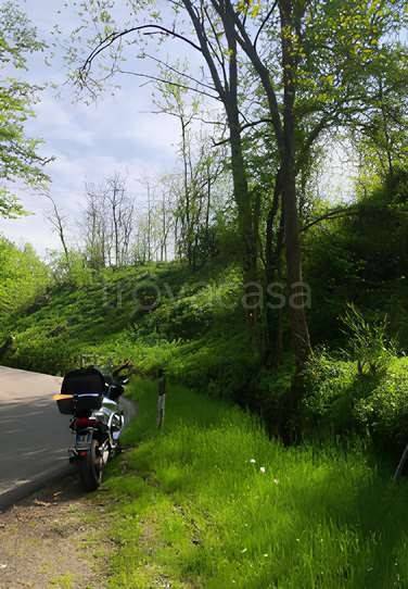 immagine annuncio 2 di 6