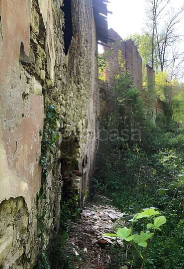 immagine annuncio 3 di 6