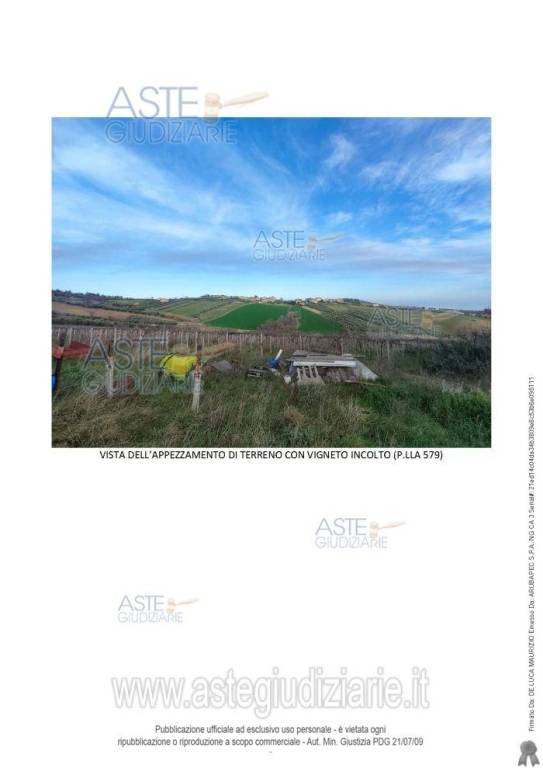 immagine annuncio 2 di 6