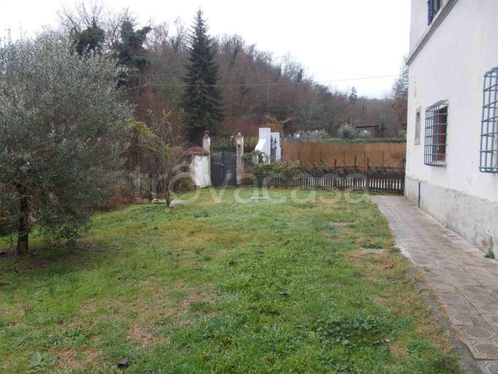 immagine annuncio 1 di 14