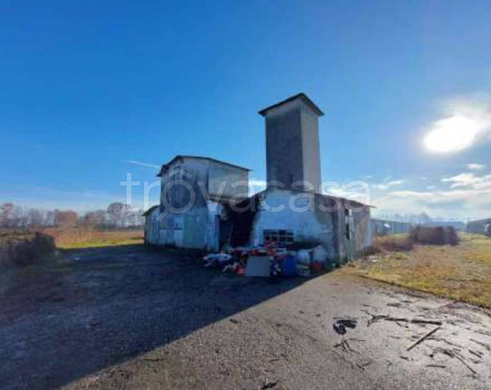 immagine annuncio 4 di 11