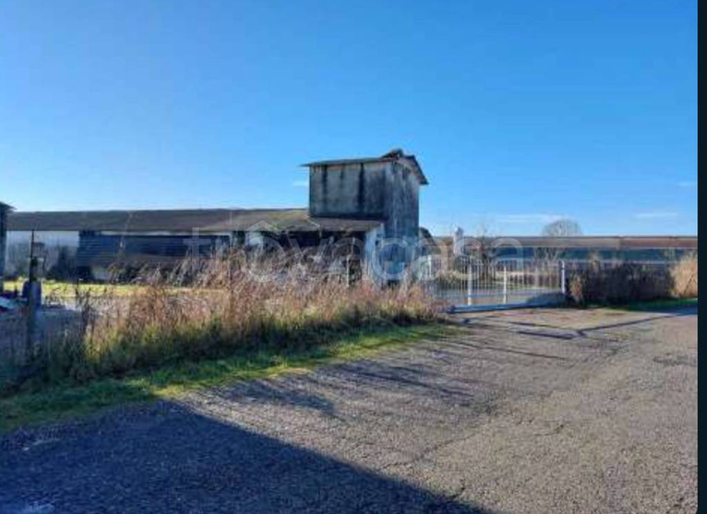 immagine annuncio 5 di 11