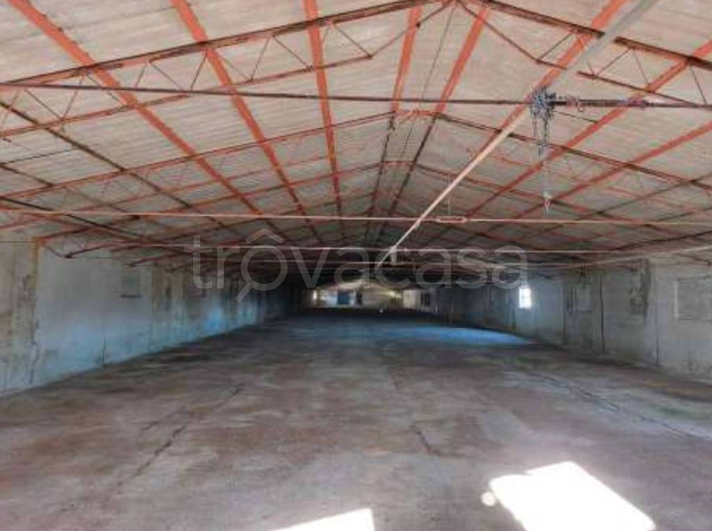 immagine annuncio 7 di 11