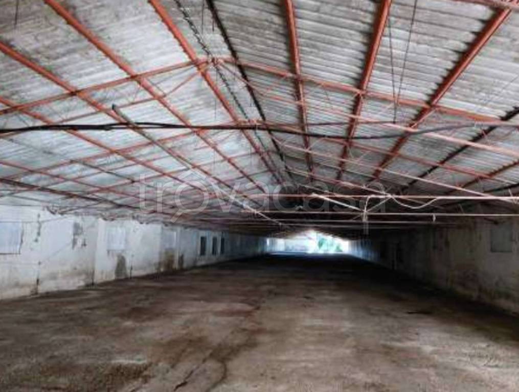 immagine annuncio 8 di 11