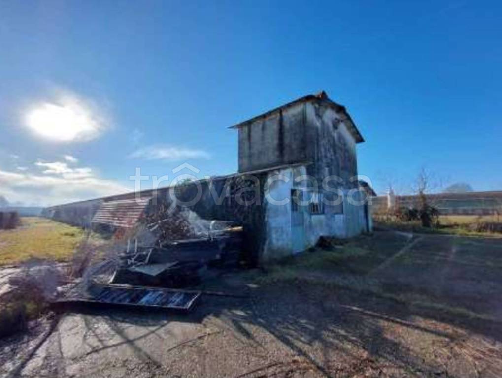 immagine annuncio 10 di 11