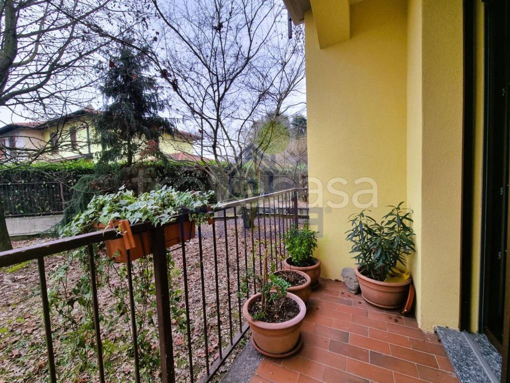 immagine annuncio 7 di 15