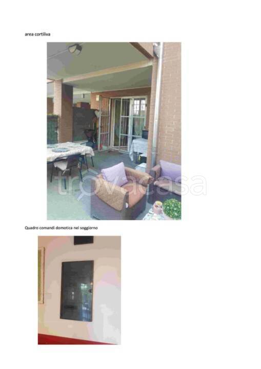 immagine annuncio 1 di 12