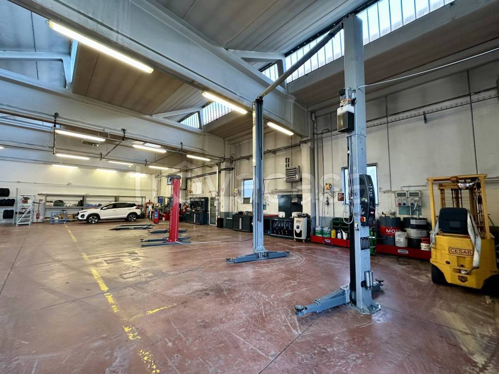 immagine annuncio 2 di 15