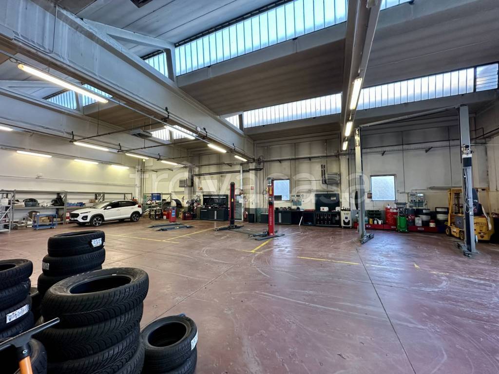 immagine annuncio 3 di 15