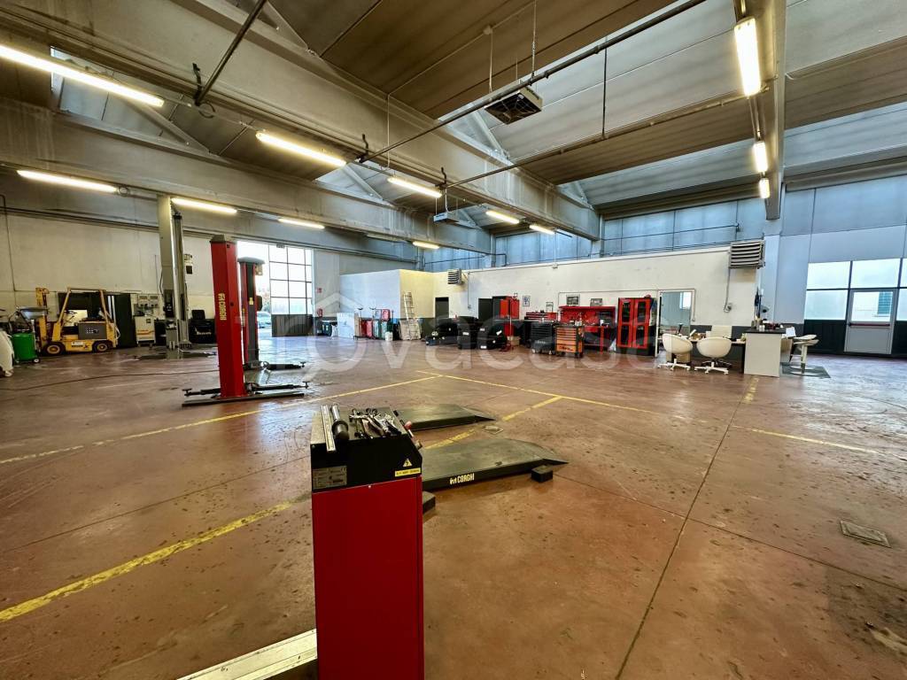 immagine annuncio 6 di 15