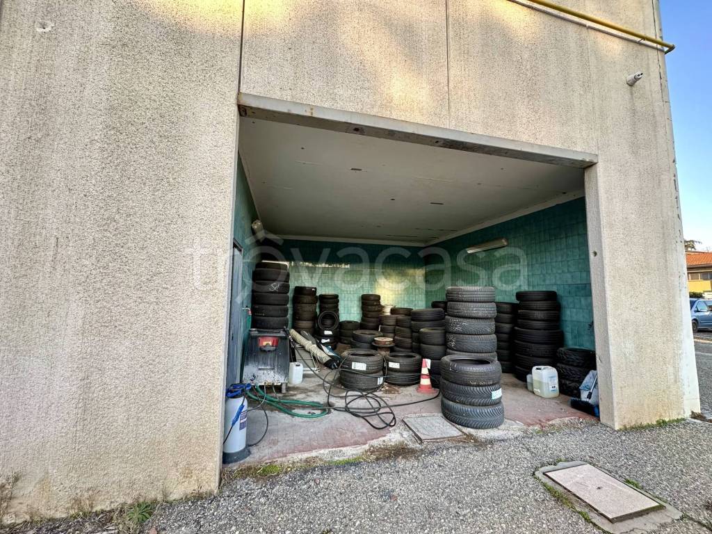 immagine annuncio 9 di 15