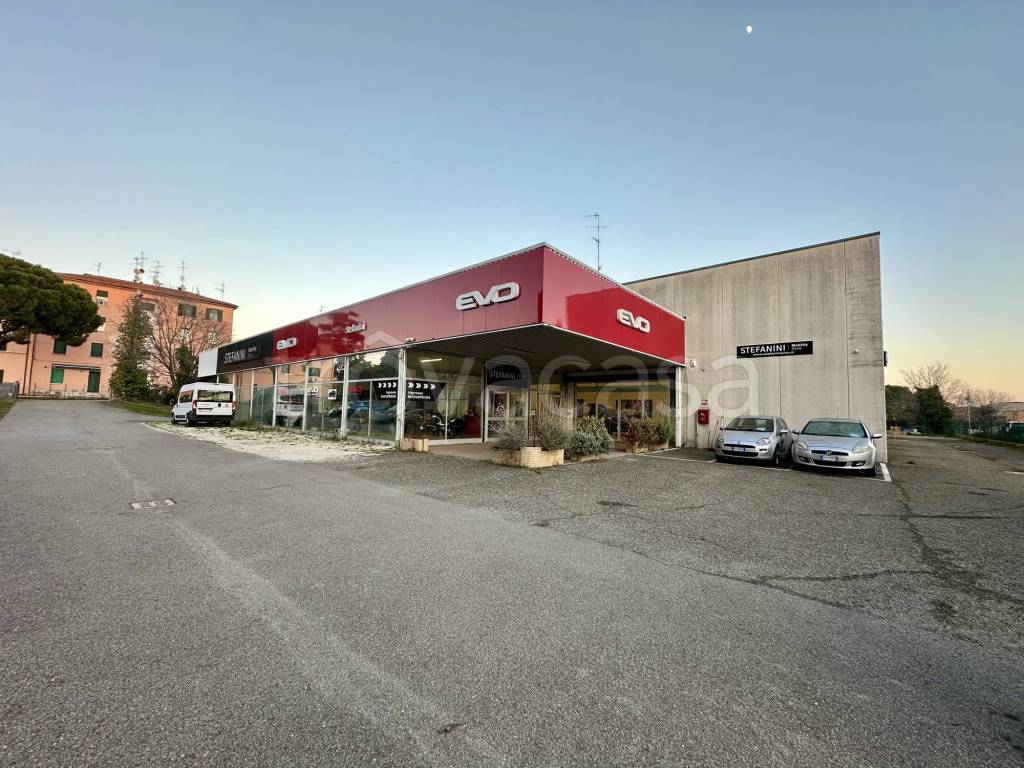 immagine annuncio 11 di 15