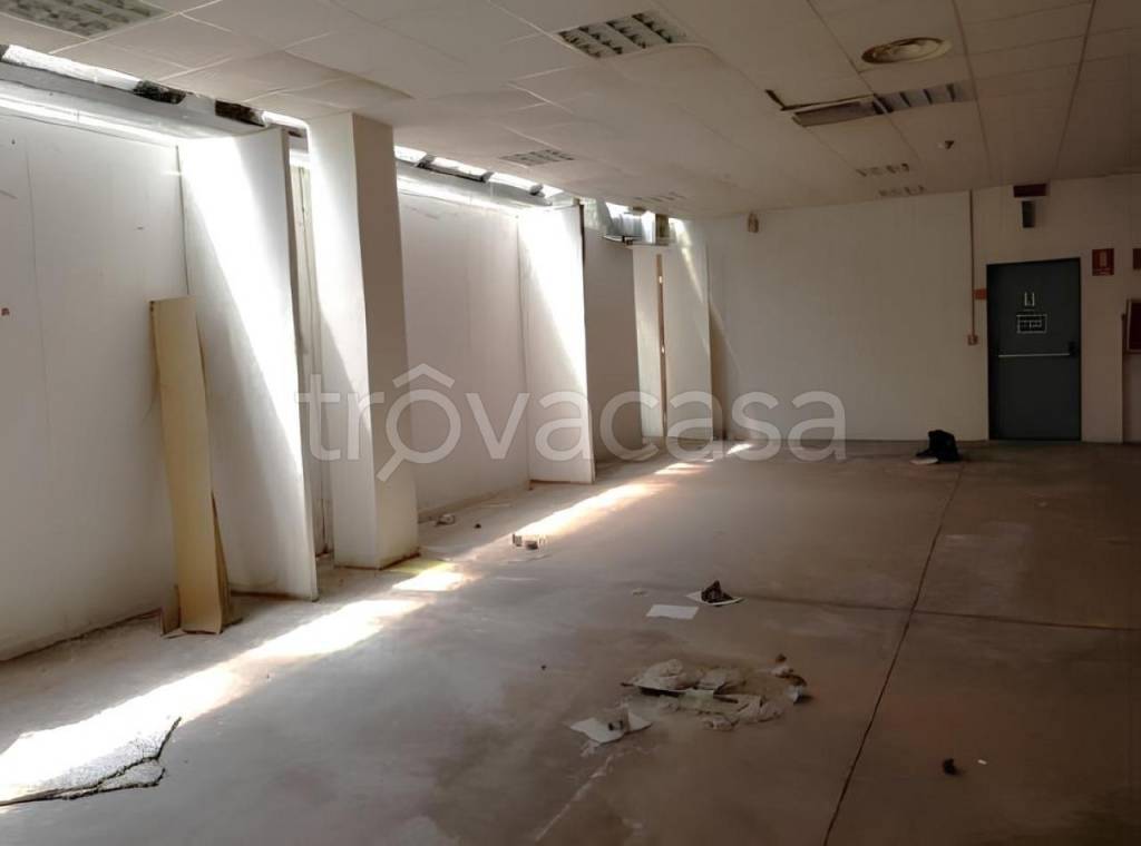 immagine annuncio 3 di 9