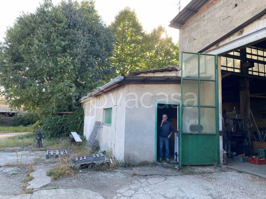 immagine annuncio 3 di 15