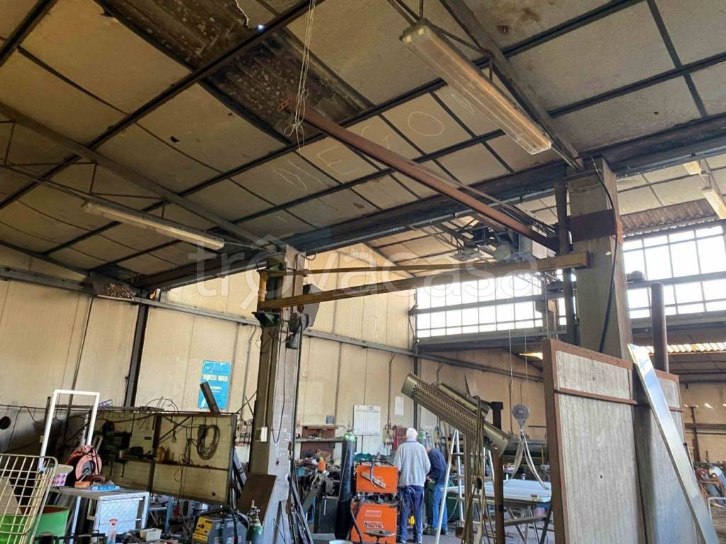 immagine annuncio 12 di 15